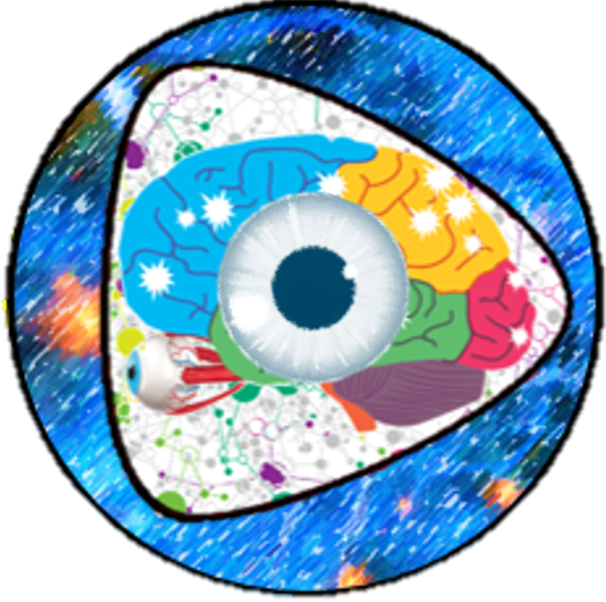 Visual Sensory Perception